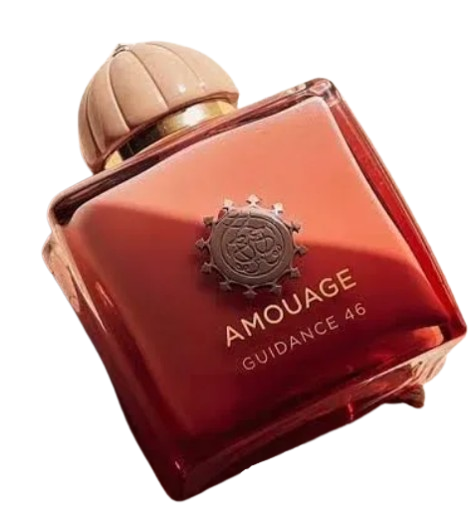 Amouage Guidance 46 Extrait de Perfume 100ml
